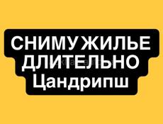 Сниму жилье