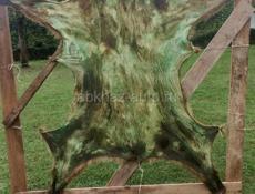 медвежья шкура