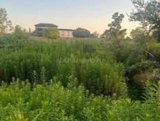 Срочная продажа .Мачара