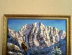 Обменяю на елку