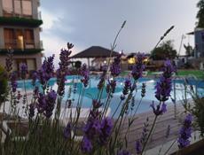 Требуются сотрудники