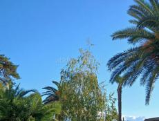 Ищу работу Поваром холодный цех.