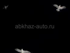 Тамыш,25соток 