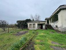 Дранда.. 25 соток