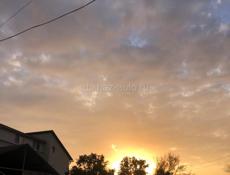 Ищу официанта ,и повора