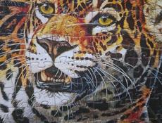 Продам или обменяю