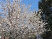 Участок на маяке