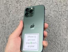 iPhone 13 Pro Max 256 g 