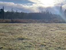 Участок в Гудауте ( замостянка  )