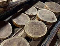 Слэб дерева разных пород 