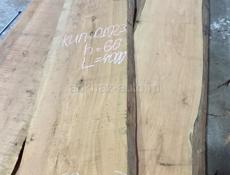 Слэб дерева разных пород 