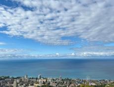 Ищу партнёра-инвестора для реализации камерного премиального глэмпинга в Гагра 