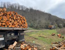 Дрова колотый и не колотый связь 9961888