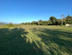 Пицунда 15 соток ‼️