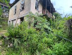 Дом на Виеме напротив питомника 6 соток довоенная собственность