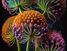 Ищу любую работу. Ватсап 