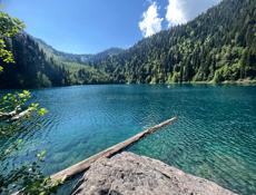 Сниму квартиру 