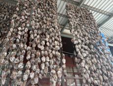 Сушеная хурма 