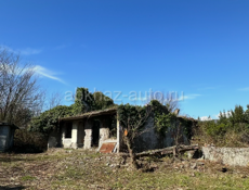 20 соток срочно 