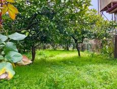 БЕЛЬЭТАЖНЫЙ ДОМ  В СУХУМЕ НА МАЯКЕ ЗА 5,7 млн.₽