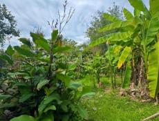 ‼️СРОЧНАЯ ПРОДАЖА‼️