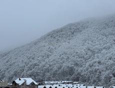 Запуск бизнеса 
