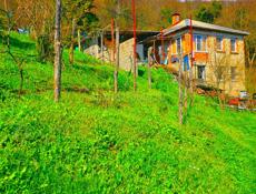 Продаю двухэтажный дом