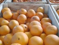 Продаю апельсин 