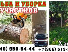 ПОКОС ТРАВИ