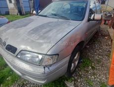 Nissan Primera