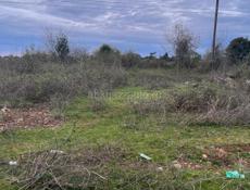 УЧАСТОК 12 соток ГУДАУТА ( хыпста)