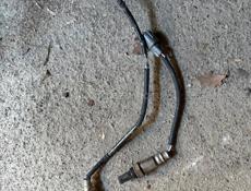 Датчик кислорода