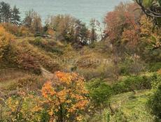 Пицунда 10 соток Рыбзавод