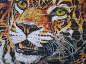 Продам или обменяю