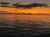 Продам участки 