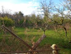 ДОМ С УЧАСТКОМ 40 СОТОК 