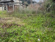 Участок с документами 