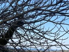 Требуется помощник по хозяйству 