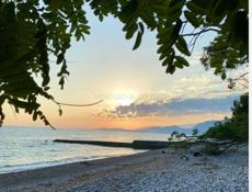 Недвижимость 