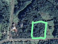 Тамыш,25 соток