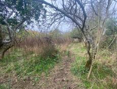 Участок Гагра 15 соток 