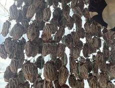 Сушеная хурма 