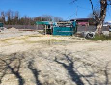 Цандрыпш 6соток, первая линия