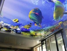 Натяжные потолки 