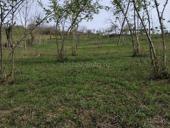 С всем документами 15 соток