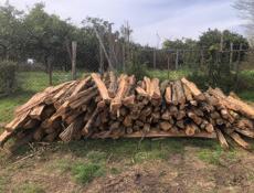 Колушки 120 р