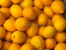 Здравствуйте продаю лимон +79407770273