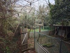 Участок по Ул Гочуа Сухум