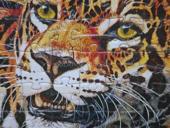 Продам или обменяю