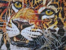 Продам или обменяю